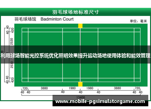 利用球场智能光控系统优化照明效果提升运动场地使用体验和能效管理