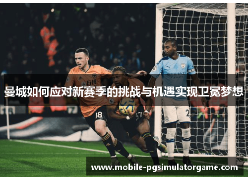曼城如何应对新赛季的挑战与机遇实现卫冕梦想