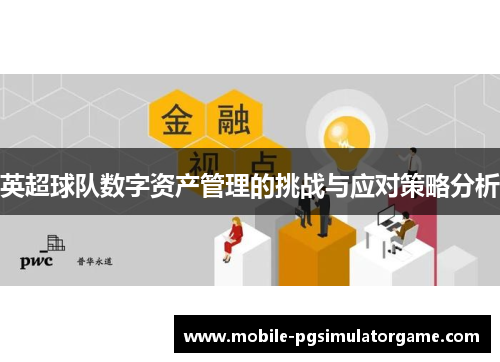英超球队数字资产管理的挑战与应对策略分析