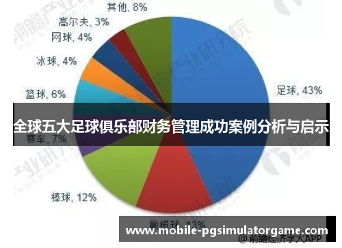 全球五大足球俱乐部财务管理成功案例分析与启示