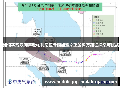 如何实现双向奔赴帕利尼亚冬窗加盟愿望的多方路径探索与挑战