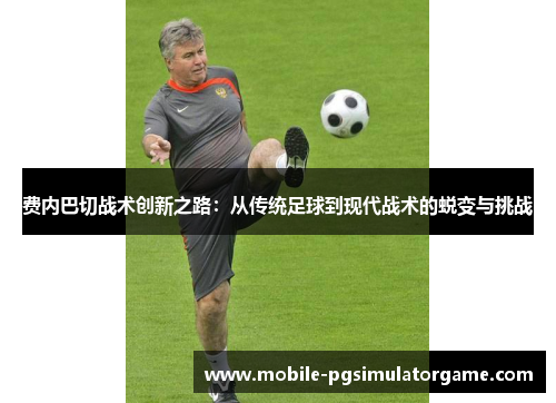 费内巴切战术创新之路：从传统足球到现代战术的蜕变与挑战