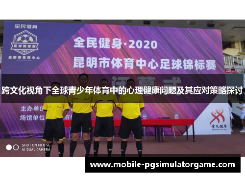 跨文化视角下全球青少年体育中的心理健康问题及其应对策略探讨