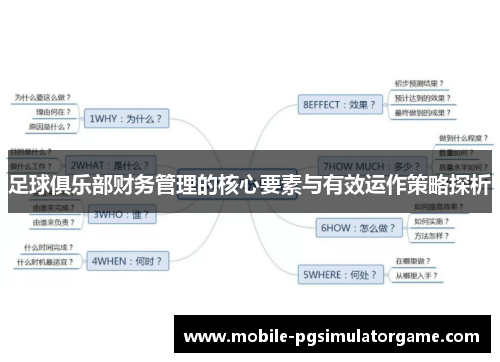 足球俱乐部财务管理的核心要素与有效运作策略探析