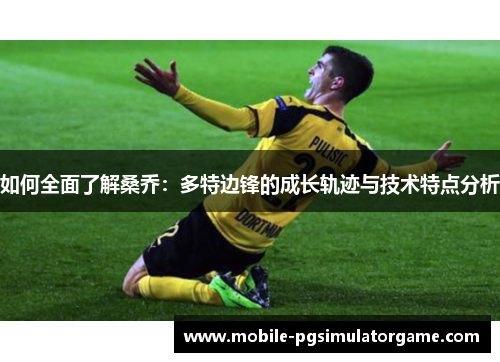 如何全面了解桑乔：多特边锋的成长轨迹与技术特点分析
