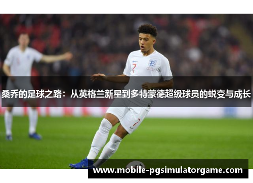 桑乔的足球之路：从英格兰新星到多特蒙德超级球员的蜕变与成长