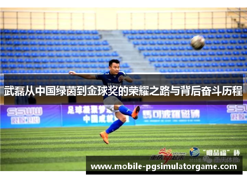 武磊从中国绿茵到金球奖的荣耀之路与背后奋斗历程