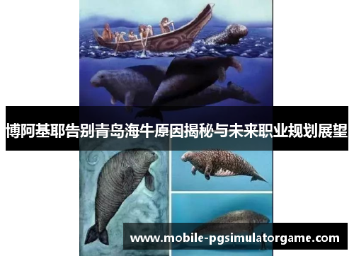 博阿基耶告别青岛海牛原因揭秘与未来职业规划展望