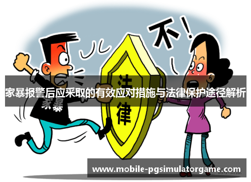 家暴报警后应采取的有效应对措施与法律保护途径解析