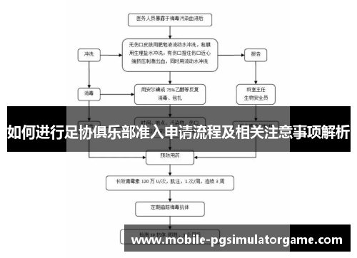 如何进行足协俱乐部准入申请流程及相关注意事项解析