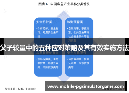 父子较量中的五种应对策略及其有效实施方法