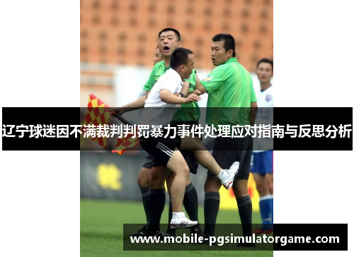 辽宁球迷因不满裁判判罚暴力事件处理应对指南与反思分析