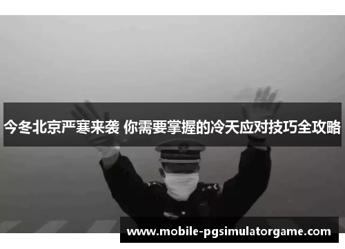 今冬北京严寒来袭 你需要掌握的冷天应对技巧全攻略