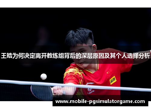 王皓为何决定离开教练组背后的深层原因及其个人选择分析