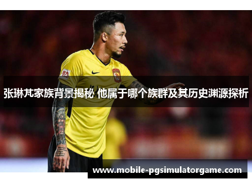 张琳芃家族背景揭秘 他属于哪个族群及其历史渊源探析