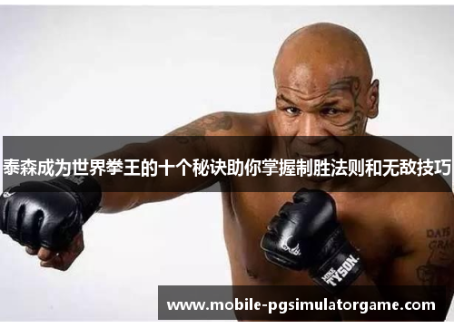 泰森成为世界拳王的十个秘诀助你掌握制胜法则和无敌技巧
