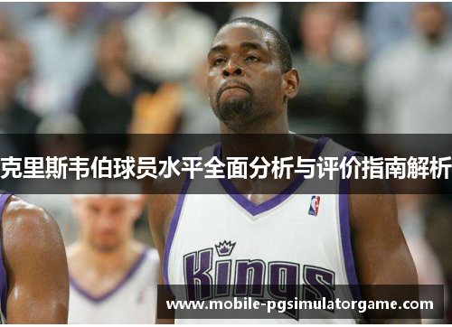 克里斯韦伯球员水平全面分析与评价指南解析