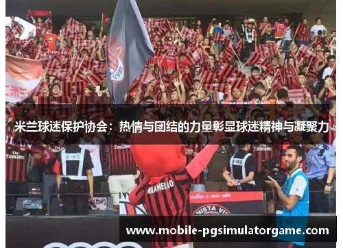 米兰球迷保护协会：热情与团结的力量彰显球迷精神与凝聚力