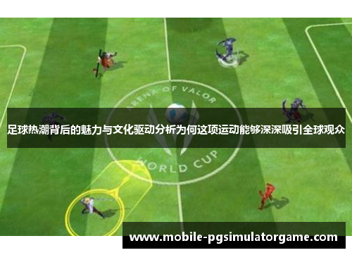 足球热潮背后的魅力与文化驱动分析为何这项运动能够深深吸引全球观众