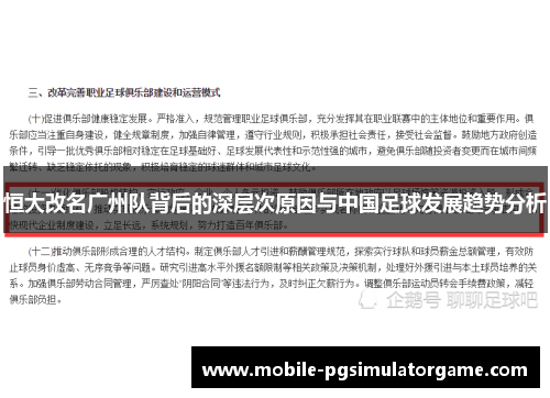 恒大改名广州队背后的深层次原因与中国足球发展趋势分析