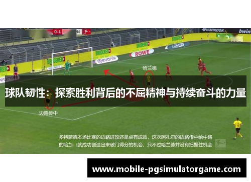 球队韧性：探索胜利背后的不屈精神与持续奋斗的力量
