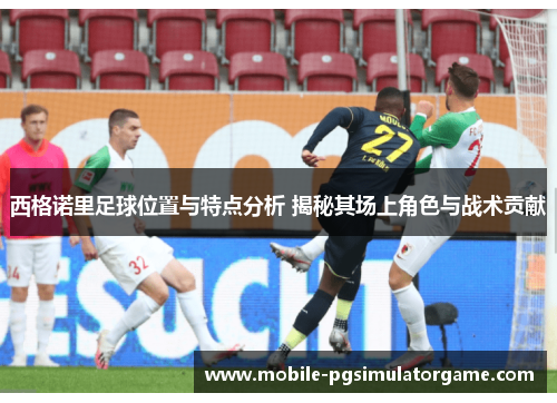 西格诺里足球位置与特点分析 揭秘其场上角色与战术贡献