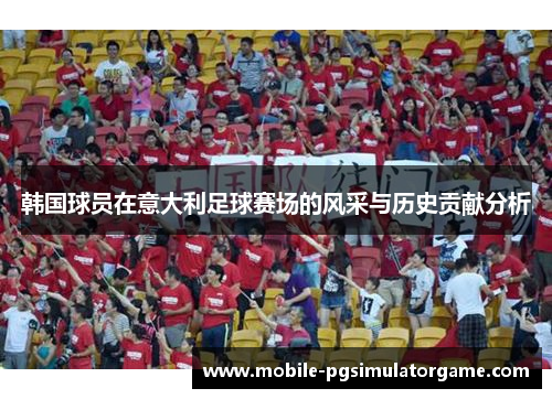 韩国球员在意大利足球赛场的风采与历史贡献分析