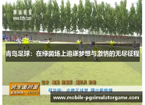 青岛足球：在绿茵场上追逐梦想与激情的无尽征程