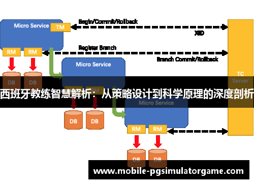 西班牙教练智慧解析：从策略设计到科学原理的深度剖析
