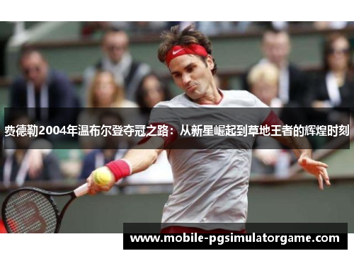 费德勒2004年温布尔登夺冠之路：从新星崛起到草地王者的辉煌时刻
