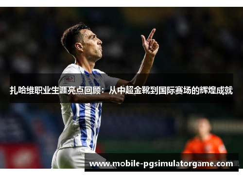 扎哈维职业生涯亮点回顾：从中超金靴到国际赛场的辉煌成就