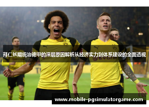 拜仁长期统治德甲的深层原因解析从经济实力到体系建设的全面透视