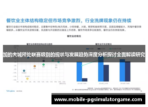 加的夫城所处联赛级别的现状与发展趋势深度分析探讨全面解读研究 加的夫城所处联赛级别的现状与发展趋势深度分析探讨全面解读研究