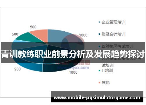 青训教练职业前景分析及发展趋势探讨