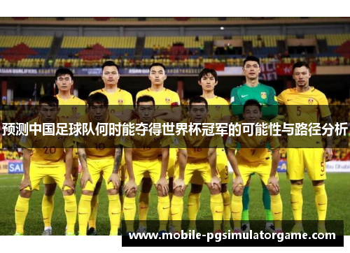 预测中国足球队何时能夺得世界杯冠军的可能性与路径分析