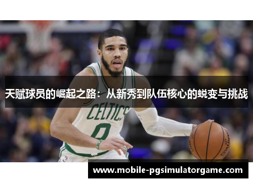 天赋球员的崛起之路：从新秀到队伍核心的蜕变与挑战