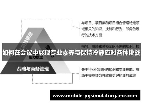 如何在会议中展现专业素养与保持冷静应对各种挑战