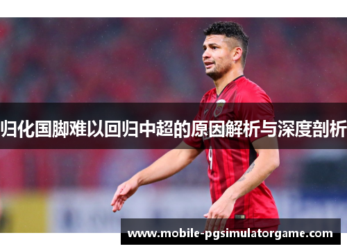归化国脚难以回归中超的原因解析与深度剖析