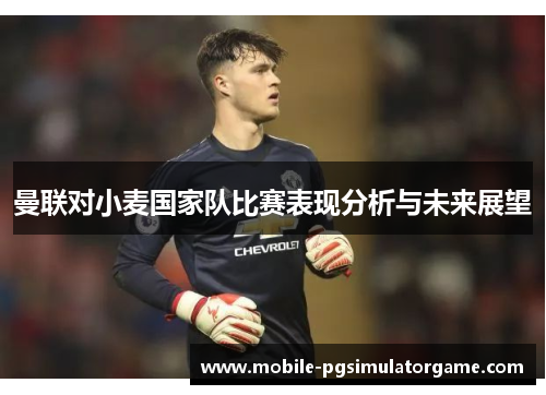曼联对小麦国家队比赛表现分析与未来展望