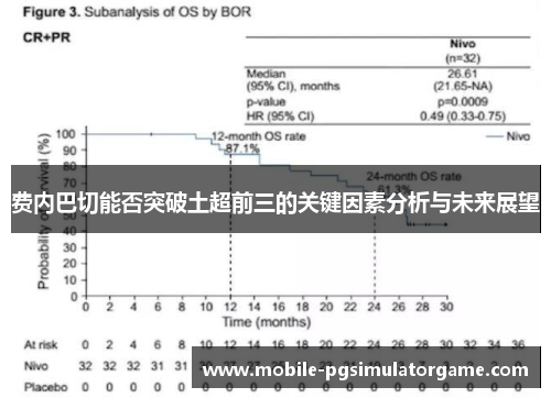费内巴切能否突破土超前三的关键因素分析与未来展望