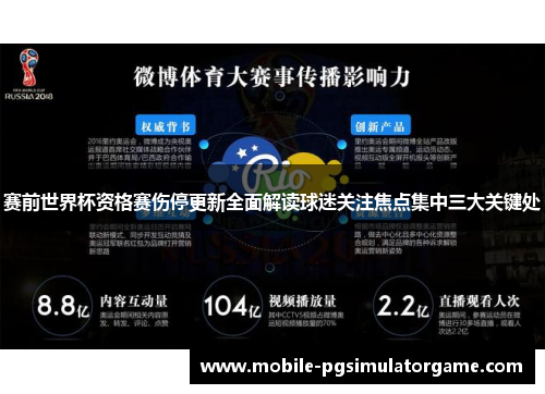 赛前世界杯资格赛伤停更新全面解读球迷关注焦点集中三大关键处