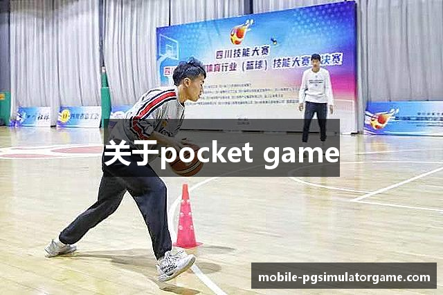 关于pocket game